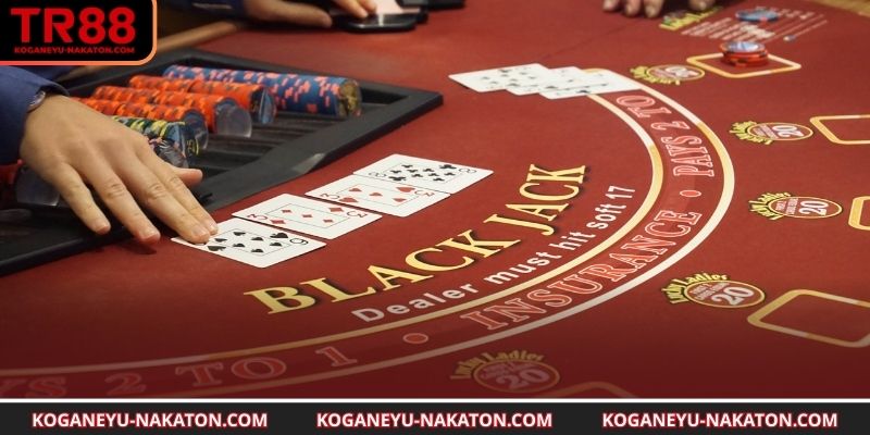 Bật mí thông tin cơ bản về blackjack