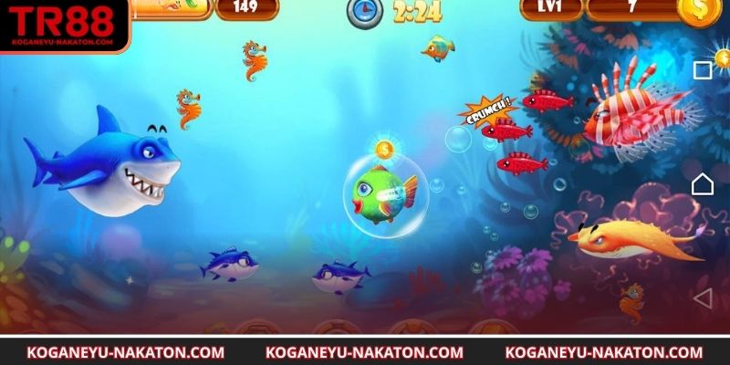 Các phản hồi đáng tham khảo với bạn