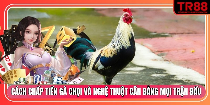 Cách chấp tiền gà chọi