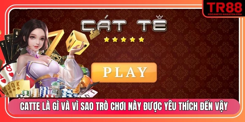 Catte là gì