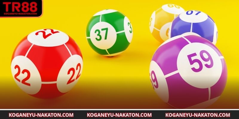 Chi tiết cách áp dụng dành cho bạn