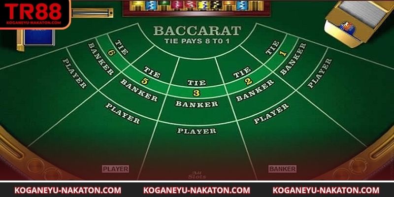 Chiến lược kết hợp thuật toán tối ưu