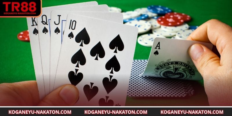 Dạy đánh phỏm cơ bản cho người mới