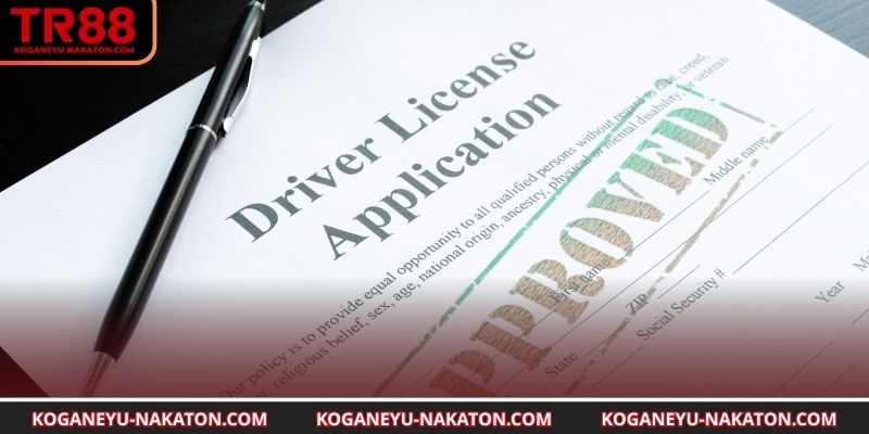 Giấy phép hoạt động bảo vệ quyền lợi 