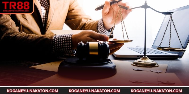 Khám phá về miễn trừ trách nhiệm TR88