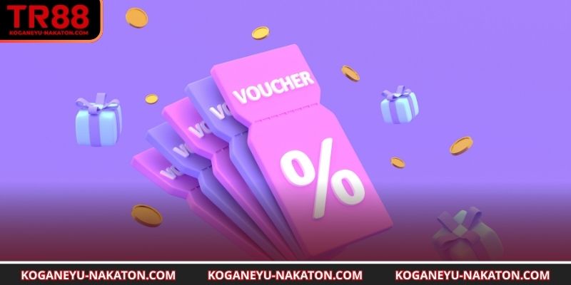 Lưu ý quan trọng giúp tận dụng ưu đãi