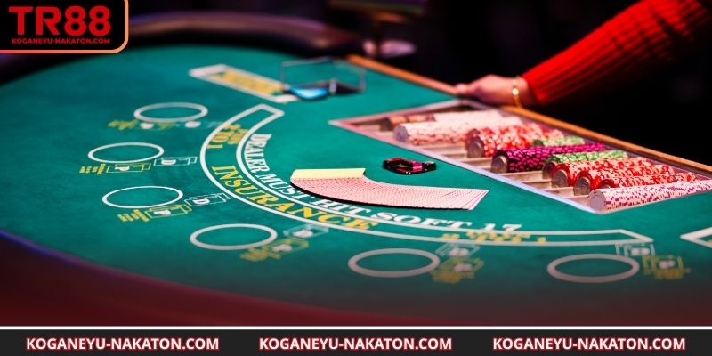 Mẹo chơi blackjack cực hay cho người mới