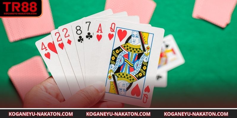  Mẹo chơi phỏm nâng cao hiệu quả thắng