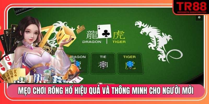 Mẹo chơi rồng hổ