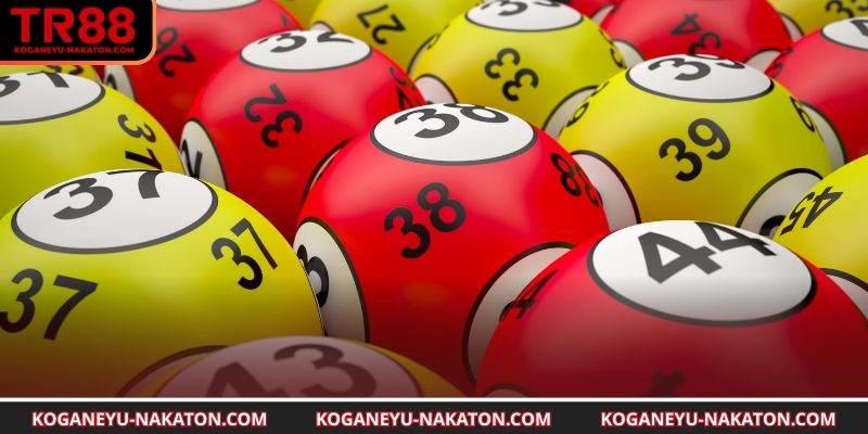 Mô hình ứng dụng âm dương trong phân tích 