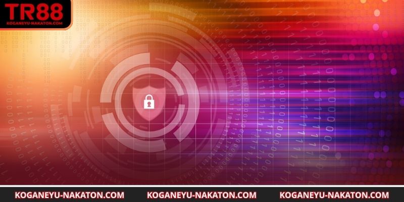 Những điểm quan trọng cần lưu ý trong bảo mật