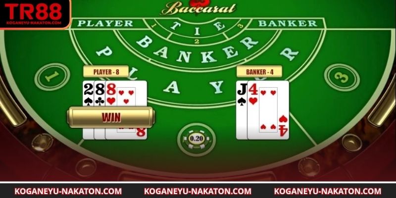 Những thuật toán phổ biến cho mọi cược