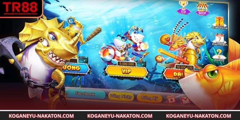 Nội dung giúp hiểu rủi ro của trò chơi