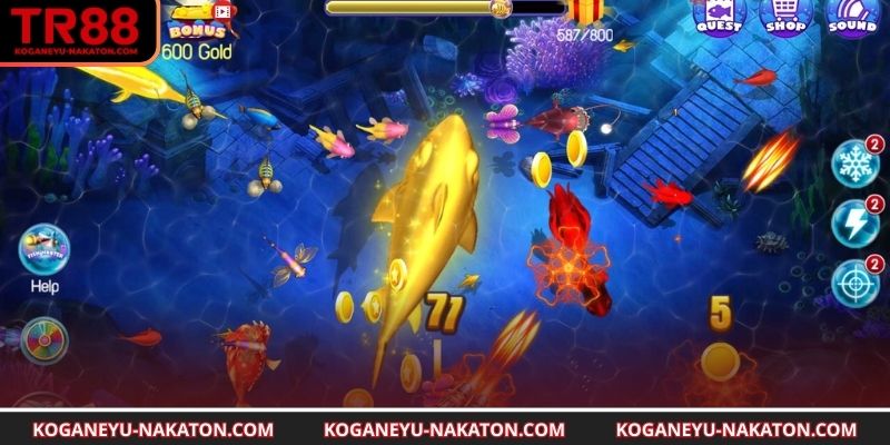 Phân tích hướng di chuyển cá sấu hiệu quả