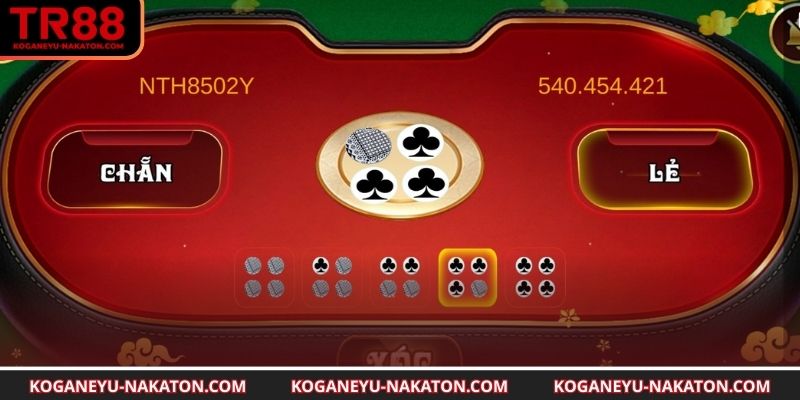 Quan sát kết quả để nâng cao chiến lược