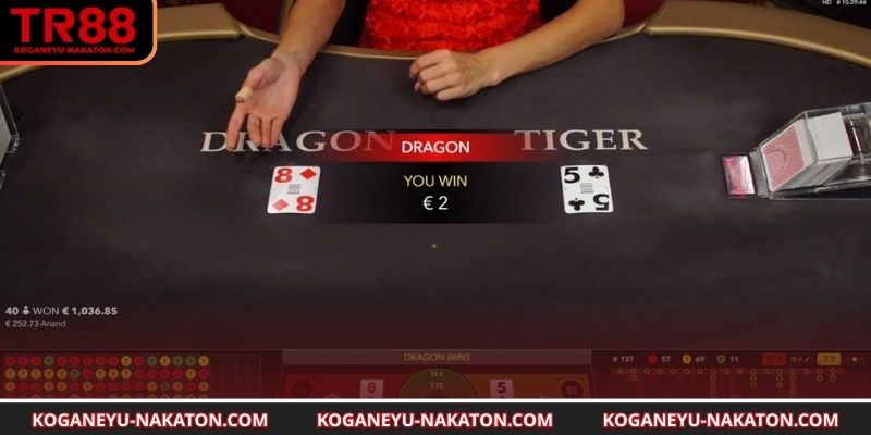 Quan sát lịch sử kết quả rồng hổ chuẩn xác 