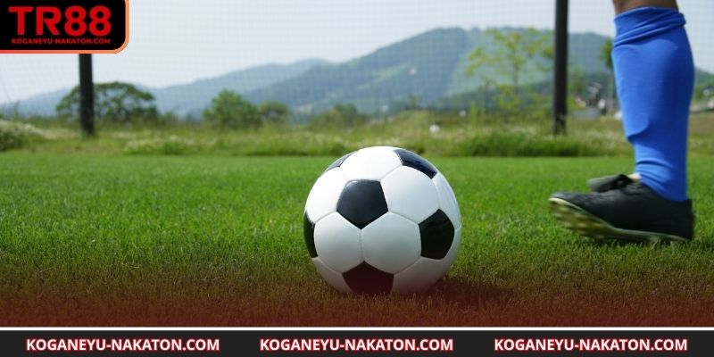 Sử dụng cách xả kèo giúp linh hoạt khi cược