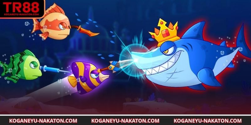 Sử dụng hiệu ứng giúp tăng thưởng nhanh chóng