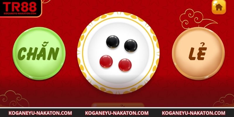 Thực hiện kỹ thuật giúp kiểm soát kết quả