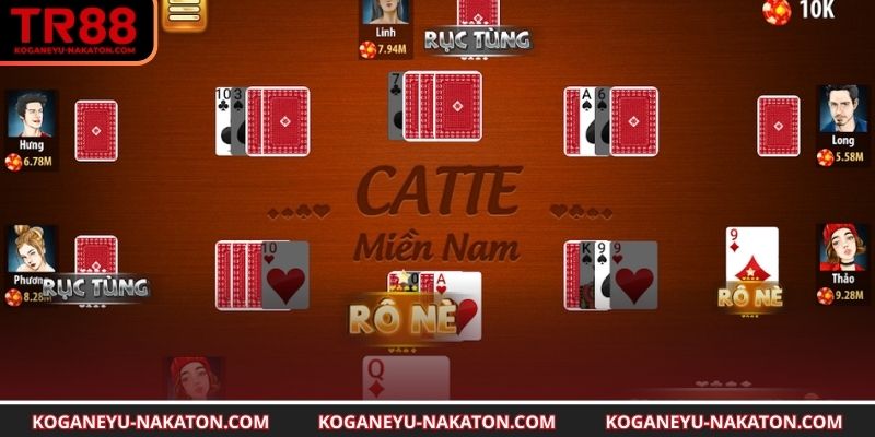 Tìm hiểu về catte là gì trong TR88