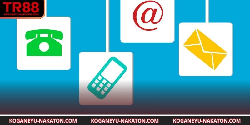 Tư vấn chi tiết nâng cao trải nghiệm người chơi